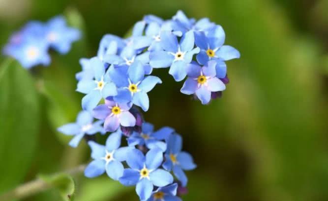 生肖|9月下旬，四生肖大发利市，有贵人指路，随时会发财