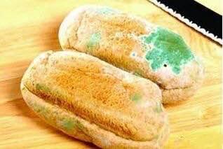 神鸟知讯资讯站|9人聚餐,7人30小时内相继去世,只因吃了这东西:有两人还在ICU