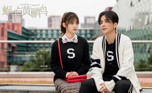 张新成：张新成新剧即将定档上线，看到合作的女主，网友：没追的欲望了