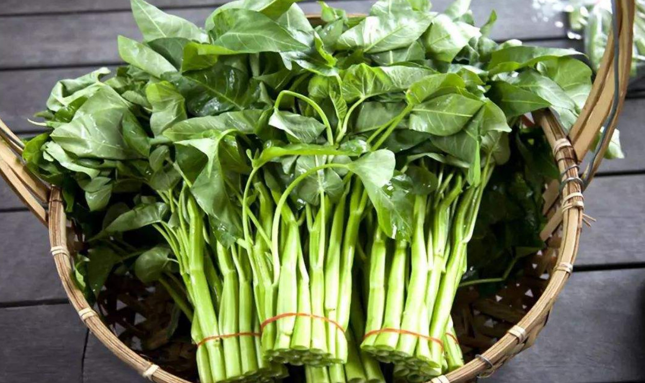 食材@天热别错过这菜，每天炒一盘，解油腻，补钙质，孩子长个头！