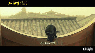 这些电影现身说法，猫咪才是电影界的顶级明星