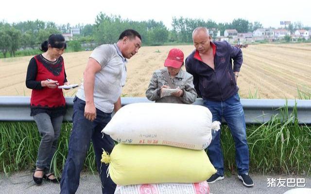 猪友巴巴|明明不赚钱，为啥有些粮贩，宁愿一斤赚半分，也要搭本收粮食呢？