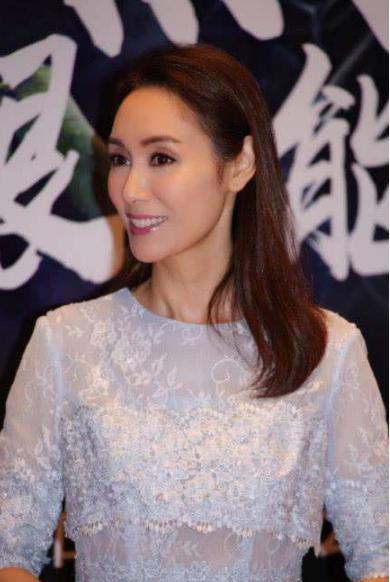 陆毅|香港\假面夫妻\:表面恩恩爱爱,私下各玩各的,生子只为秀幸福