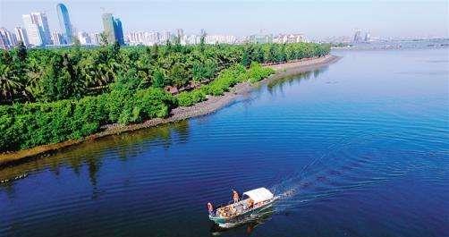 @解读武汉长江段10年全面禁捕：4种钓鱼方式禁止，台钓也不例外！