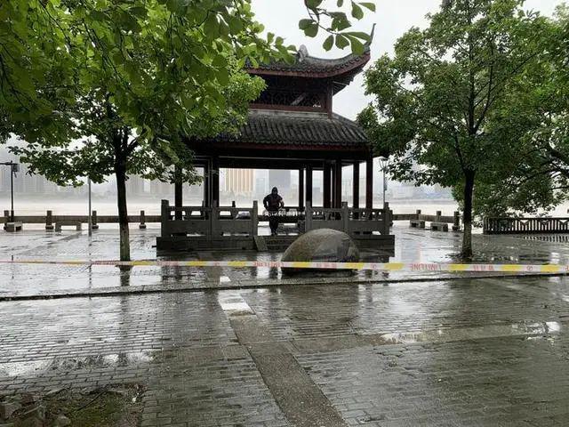 半岛晨报|9孔全开泄洪后，有居民区淹至二楼，树都淹到树冠部位了