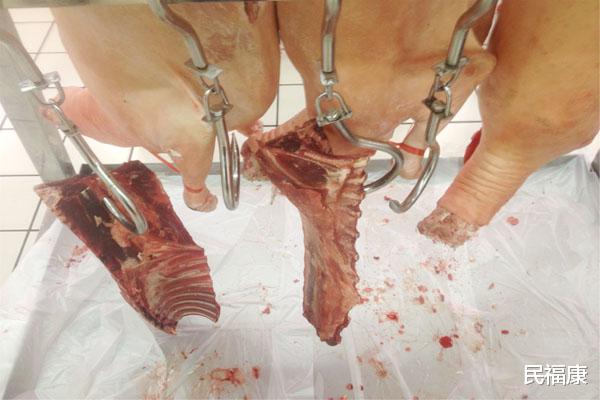 脾胃|养脾胃的“高手们”，入冬后要舍得吃，除寒行气，脾胃更健康