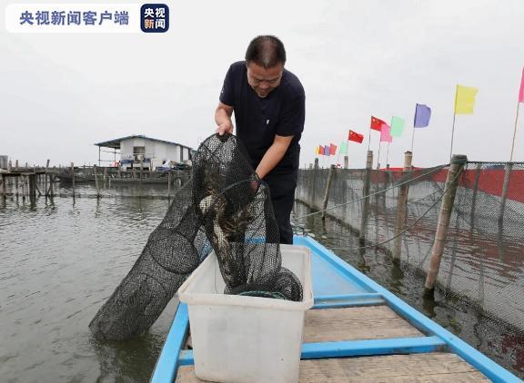 光明网视频|大闸蟹怎么挑选？吃大闸蟹有啥禁忌？一文告诉你→