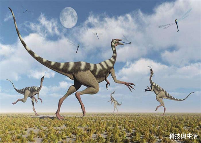 #科学家#恐龙消失是谁造成的？科学家找到一个奇怪的东西，发觉不太正常！