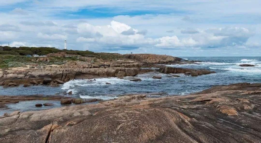 毒液|全球最毒的蛇是哪一种？有何依据？