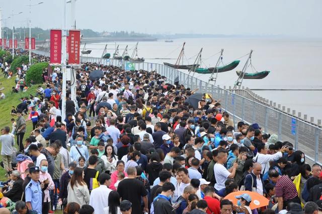 钱塘江|钱塘江大潮也成“逃犯克星”？男子慕名来观大潮，还没看到就被抓了