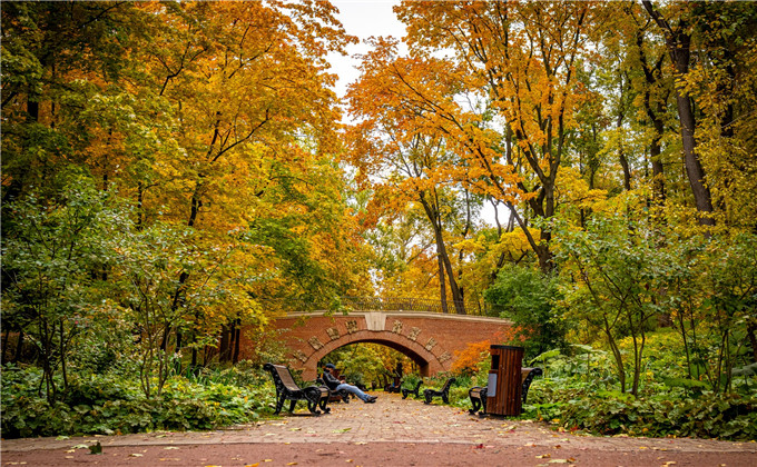 『』往事如梦，真情难忘，3星座情坎坎情路，旧情亦终将圆满！