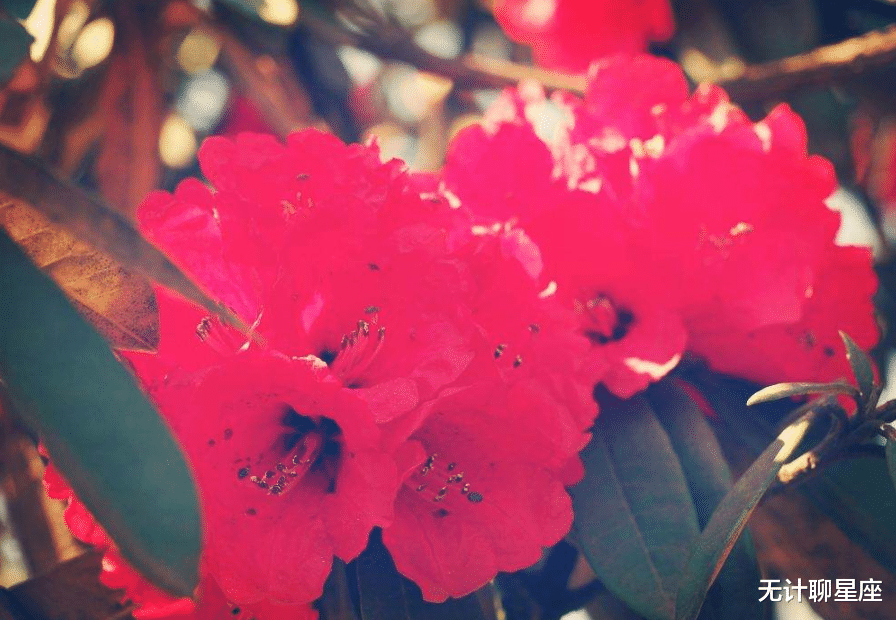 |下半年，职场上会得到贵人相助的4个星座，前途似锦，未来可期