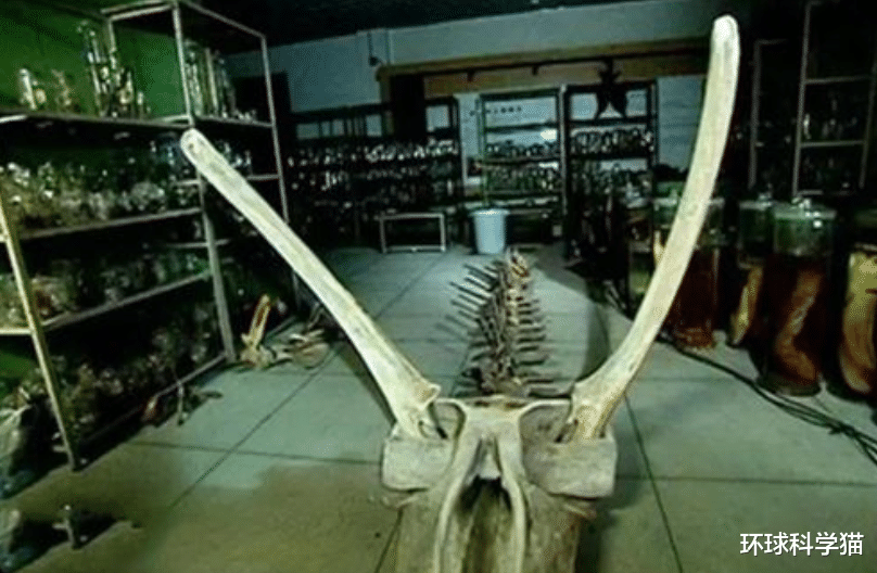 营口|在这个世界上，有多少科学无法解释的谜？