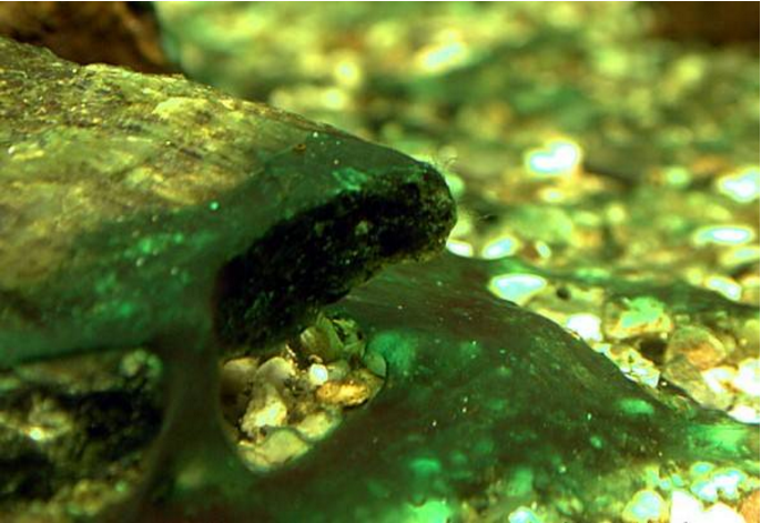 【火星】如何培育出火星文明？有人提议放一个细菌，靠谱吗？