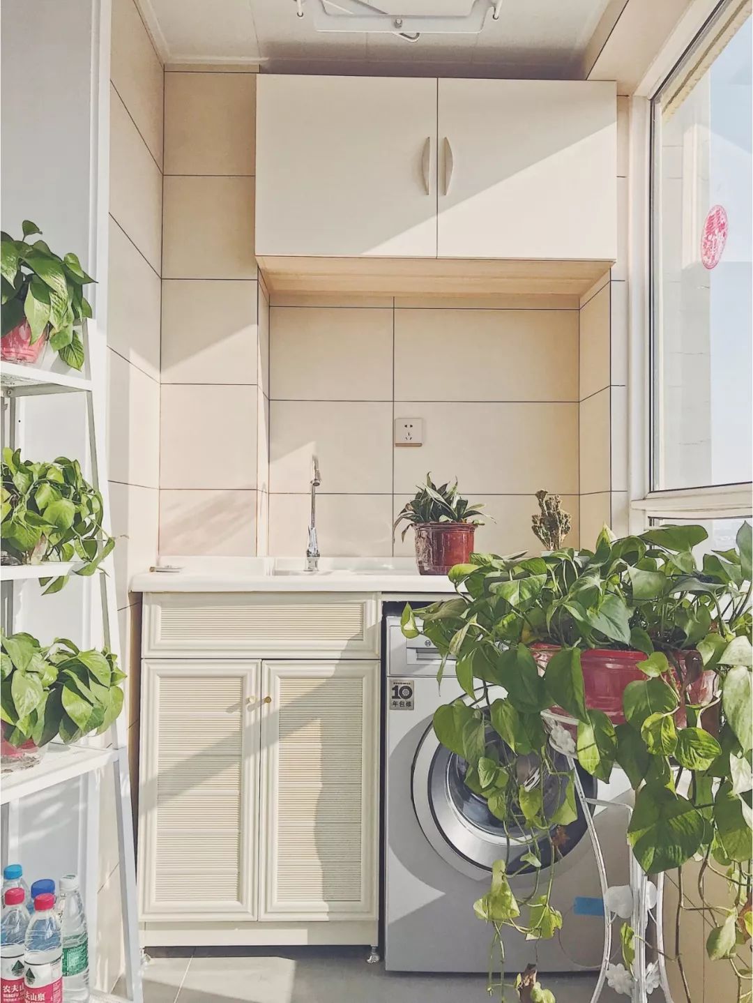 绿植怎么种更美？多种几盆，摆上架子，美出天际！