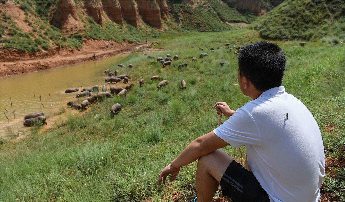 猪肉|刘永好:猪肉成本可降到7元售价10元!网友:40%利润你怎么不降价