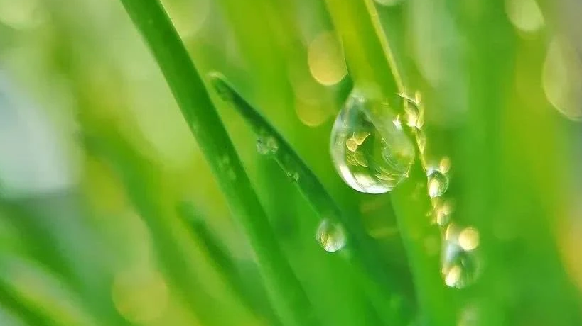 运势|9月大吉大利发大财，10月好日子躲不掉，4生肖紫气东来，财如雨降