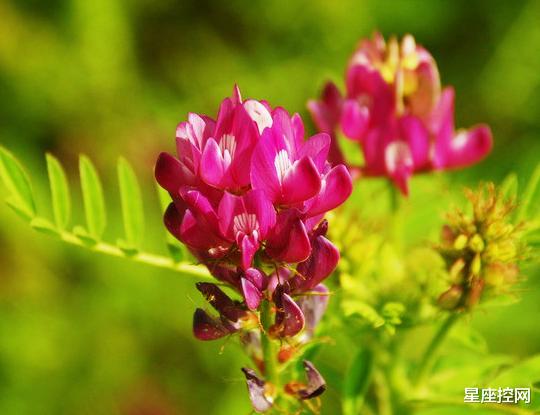 『』哪些月份出生的人，贵人是他们的靠山，年底行大运有钱赚