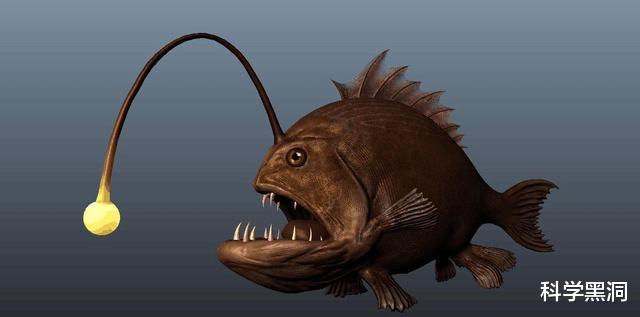 『科学家』交配时间最长的生物是什么？想不到的是，它们一生都在交配！