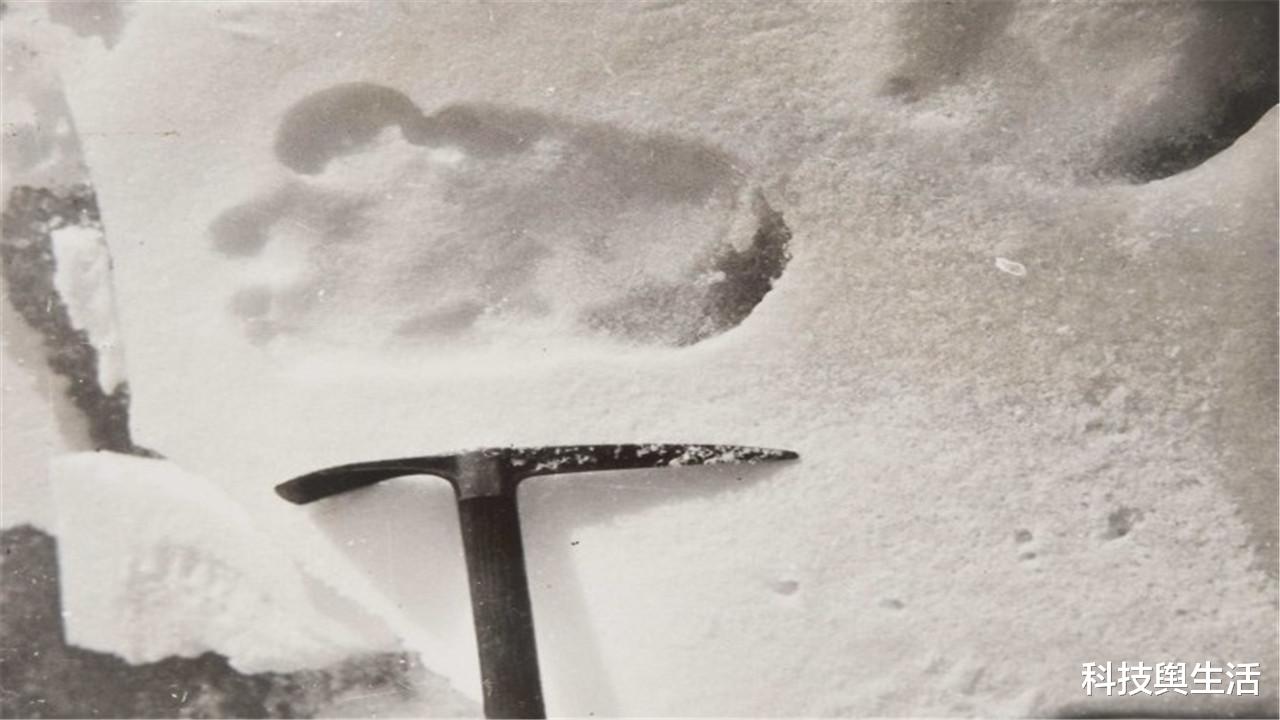 南极|谷歌地图有大发现，南极边缘有不明生物，疑似消失已久的“雪人”！