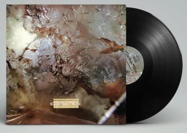 「爱迪生」“黑胶唱片”到底是啥?