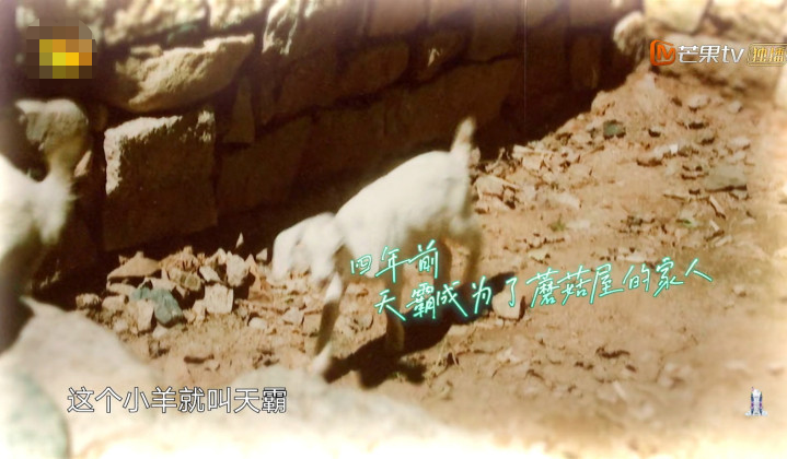 向往的生活第四季：《向往的生活4》常驻“小嘉宾”都走了，大牌明星扎堆上综艺，影视寒冬真的来了