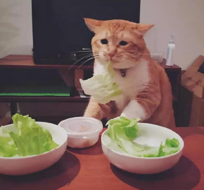 骰子|“班主任怀孕后被绿…”哈哈哈,学生吃瓜吃到撑