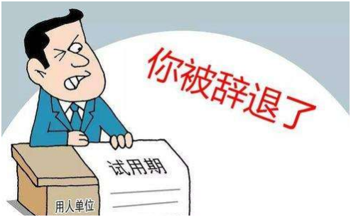 职场故事|男子加班6个月，试用期最后一天却被辞退，询问人事原因懵了