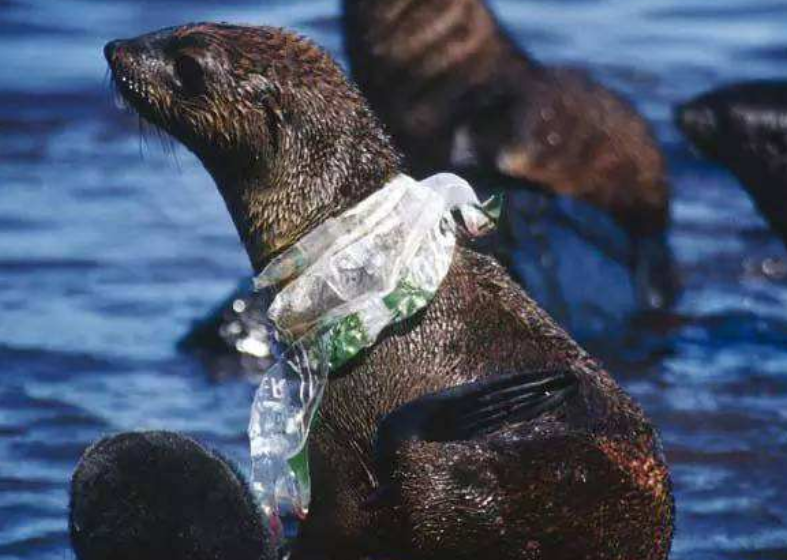 『科学家』中国在3千米海底拍到什么？照片公开后，各国科学家不淡定了！