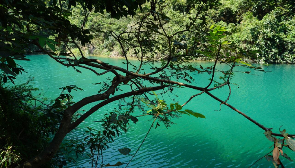 【肇庆】周末自驾带孩子:吃河鲜,玩水溯溪的好去处【紫云谷】