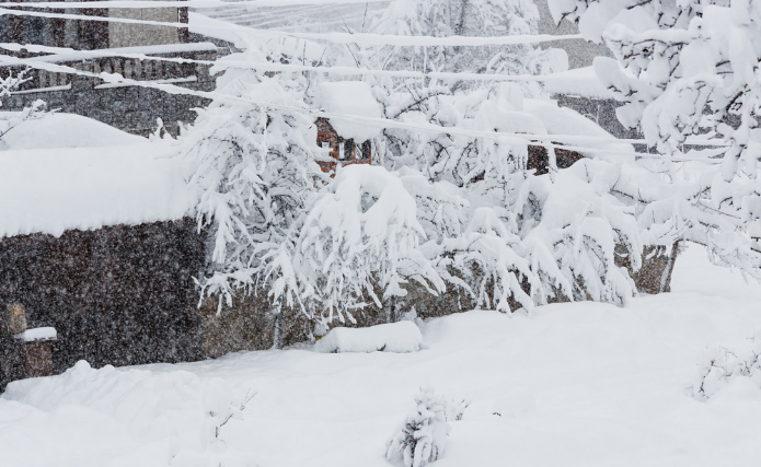拉尼娜|今年冬天“冷”还是“暖”?别再争议,专家说出最新说法