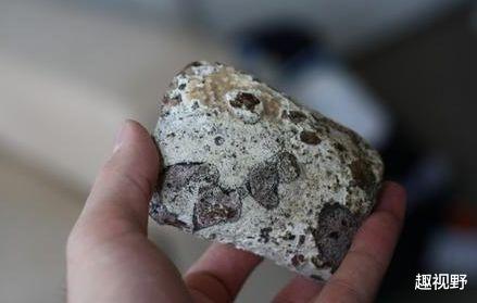 |四种动物的粪便,价格相当昂贵了,如果找到就发财了