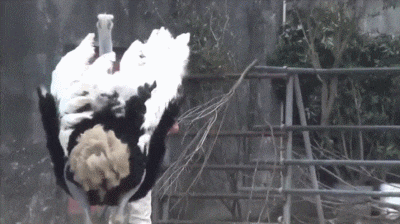 |“大哥野外钓鱼,钓上来后当场给烤了吃了,默默祝大哥平安吧!”哇哈哈哈哈