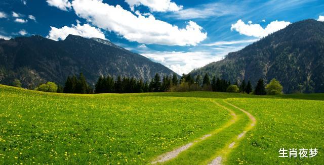 「属马」5月，旧情人回眸，为爱降临，3生肖心潮澎湃，为旧爱再勇敢爱一回