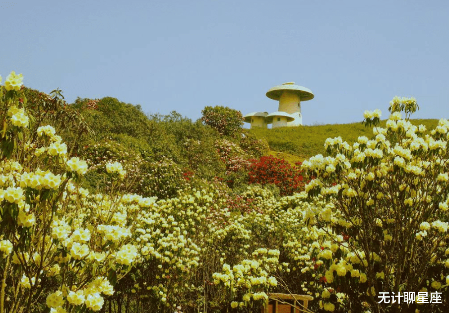 |不断拼搏、无比幸福的4个星座,背后的付出只是你看不到