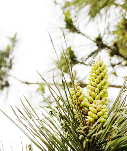 「吉星」下个月鸿运当头照，4属相好运到，吉星照耀，喜事接二连三