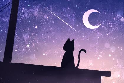 「流星雨」2020年最后一场流星雨 小熊座流星雨什么时候