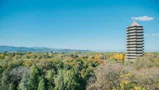 『教育部』教育部通知:这两条升学捷径已经被堵死,家长却拍手叫好!