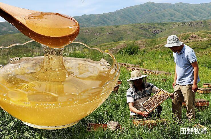 蜂蜜|蜂蜜水的饮料有哪些? 蜂蜜饮料如何制作?