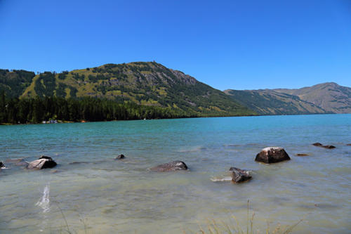 喀纳斯湖|新疆喀纳斯湖“水怪”有消息了，有人夜以继日蹲守，拍到了真面目