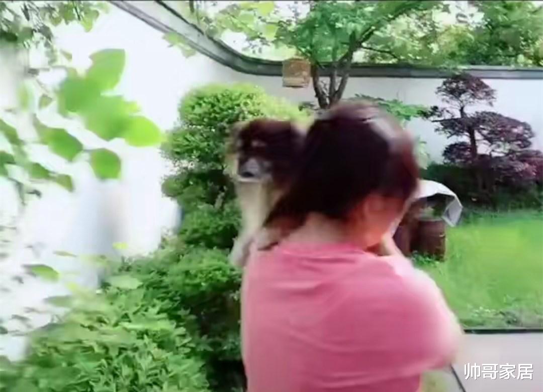 设计师|“快本主持人”的豪宅！最豪当属海涛，三套豪宅风格各异，真羡慕