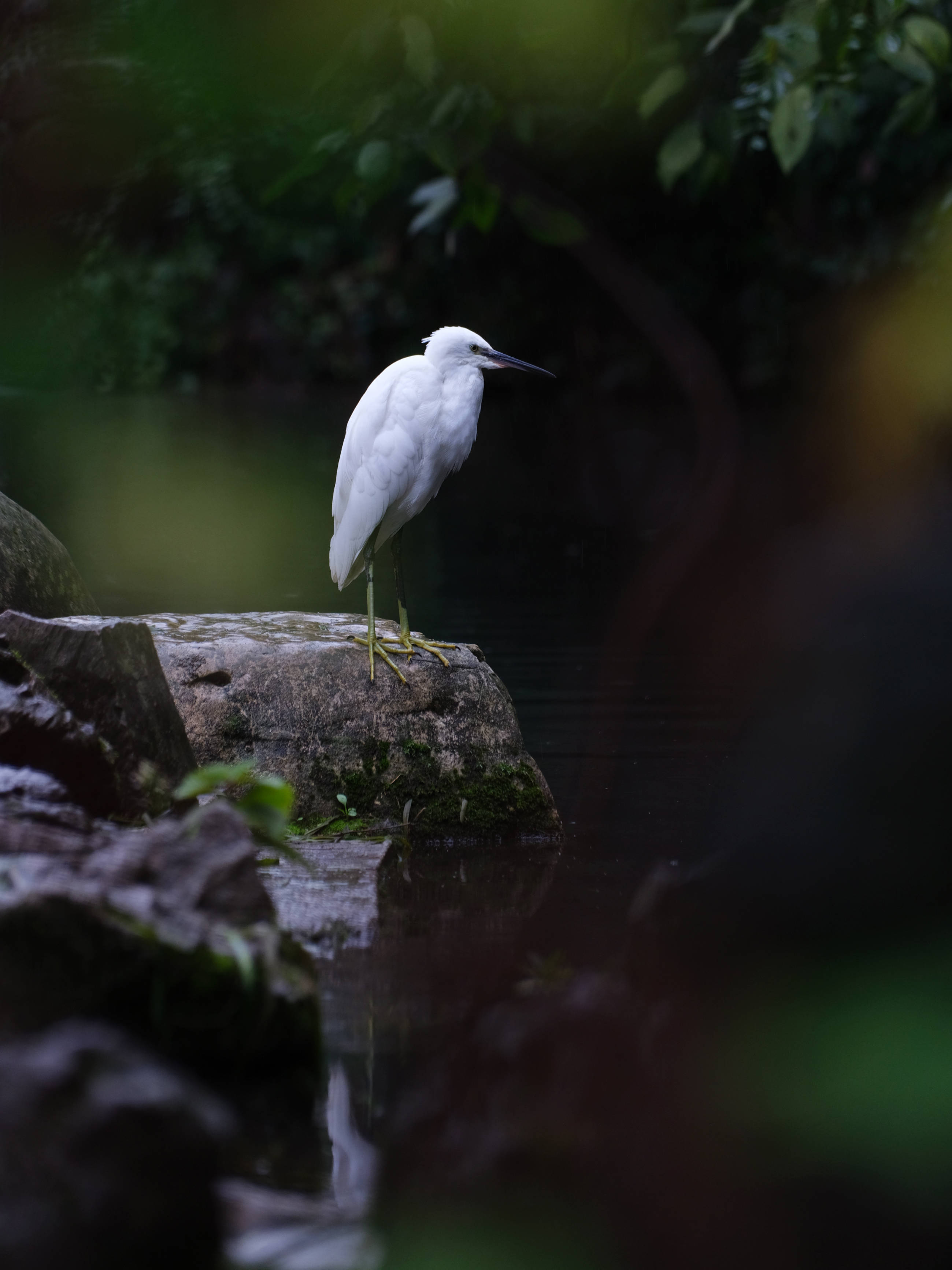 科技股|证券板块的970点会如何突破？