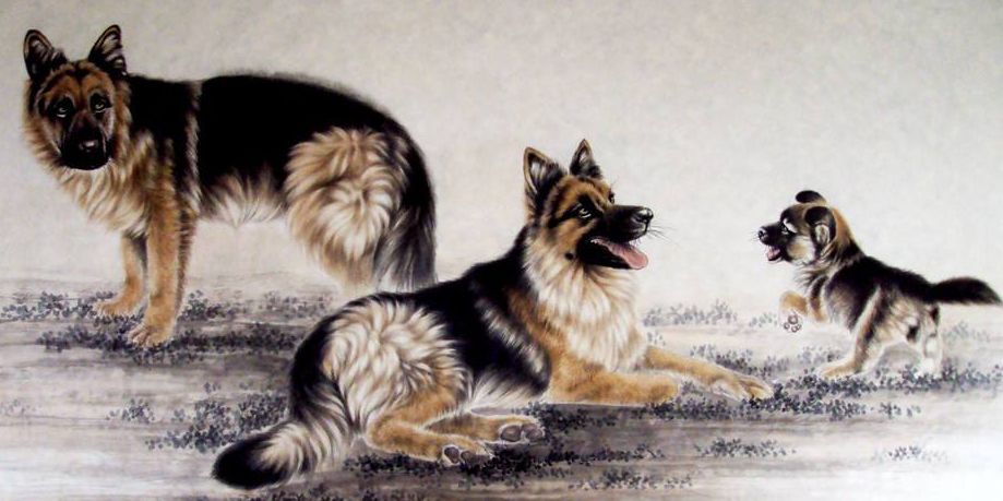 「属兔」墙内开花墙外香：狗人，千年等一回的大囍事，要偷乐了！