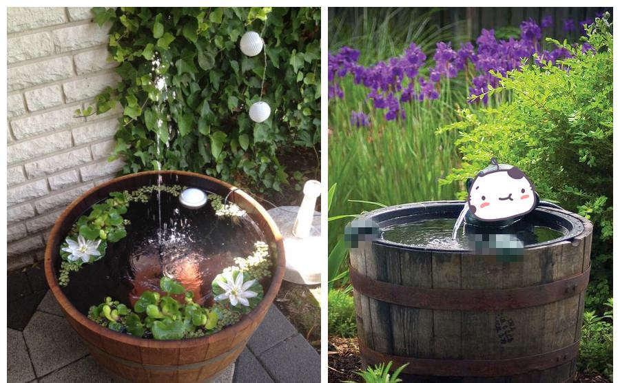 池塘|挖坑造池塘多费事,院子里放几个旧木桶,不花一分钱造出4种水景