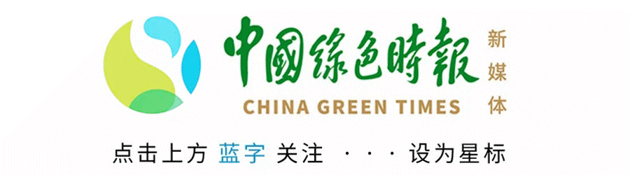中国绿色时报 【林草热读】1.05