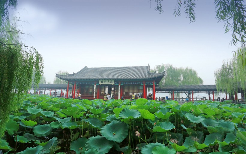 #一探究竟#我国超“诡异”的三个地方，真实存在，很多现象科学根本解释不了