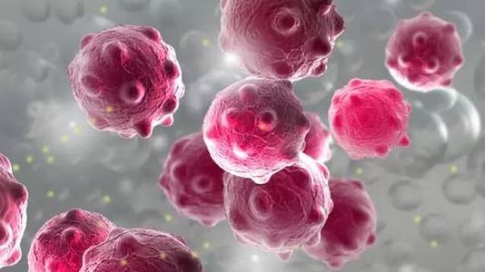 |流量时代下弄潮者们的吸粉神器