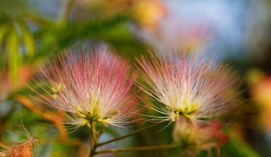 【生肖】下周开始财源广进，事业步步高升，4属相迎来好运，心想事成