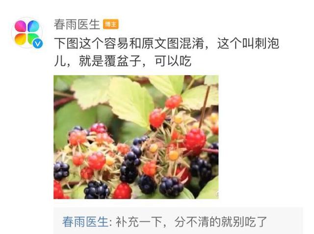 「中毒」紧急提醒！已有4个男孩路边呕吐，一人陷入昏迷！就因为摘了这个吃