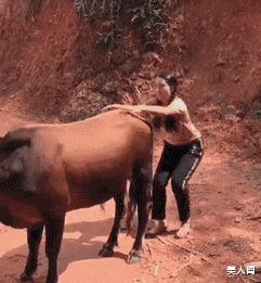 美人阁 出差把狗子放女朋友那以后，哈哈哈这模样